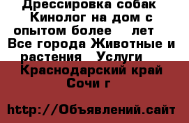 Дрессировка собак (Кинолог на дом с опытом более 10 лет) - Все города Животные и растения » Услуги   . Краснодарский край,Сочи г.